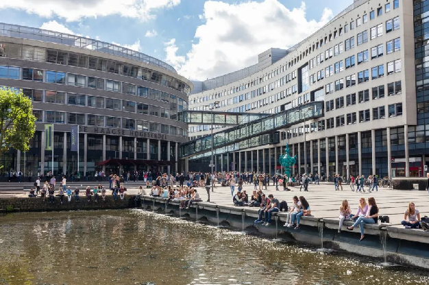 The Hague University of Applied Sciences (UG Pathway)